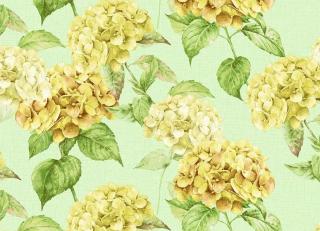 Фото - Обои Shinhan Nuevo - 555037>