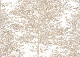 Фото - Обои Caselio La Foret - 522339>