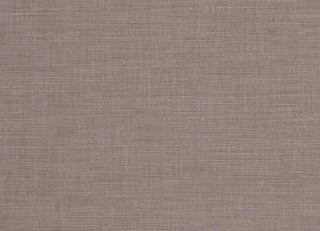 Фото - Ткани Clarke&Clarke Tussah & Seda - 362958>