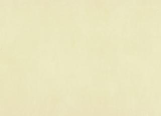 Фото - Обои Esta Home Regatta Crew - 340179>