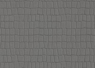 Фото - Обои Zambaiti Philipp Plein - 550599>