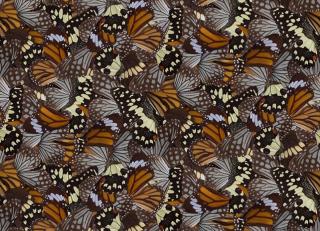 Фото - Обои Mr Perswall Captured Reality 2 - 488483>