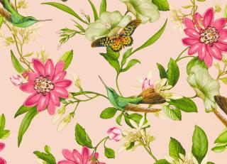 Фото - Обои Clarke&Clarke Botanical Wonders Wallpaper - 554194>