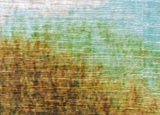 Фото - Обои Elitis Eldorado - 258099>