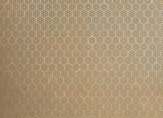 Фото - Обои Vatos Courtesan - 243129>