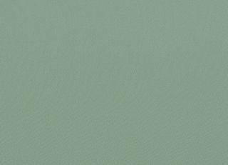 Фото - Ткани Faboie Plain VIII - 584169>