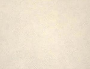 Фото - Обои Newmor Tundra - 189081>