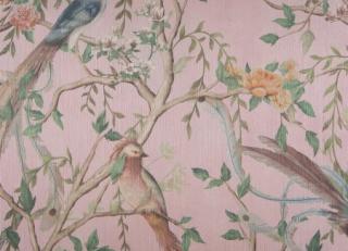 Фото - Обои для стен Carlucci - 577888>