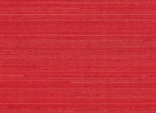 Фото - Обои Elitis Coiba - 398437>