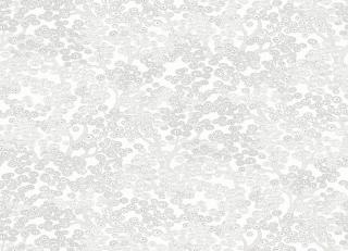 Фото - Обои Khroma Kimono - 523715>