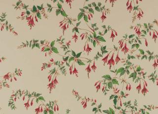 Фото - Обои Colefax and Fowler - 570380>