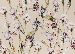 Фото - Ткани Alessandro Bini Garden  - 611230>