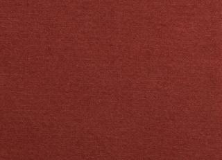 Фото - Ткани Antoine d'Albiousse Toile de Cocher - 480293>