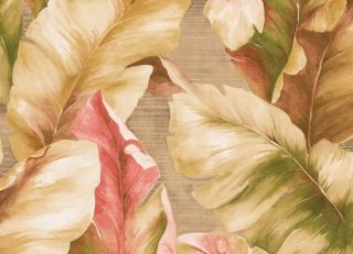 Фото - Обои Seabrook Trinidad - 218069>