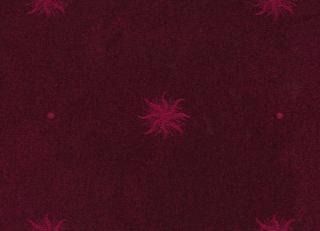 Фото - Ткани Rubelli Festa - 488789>