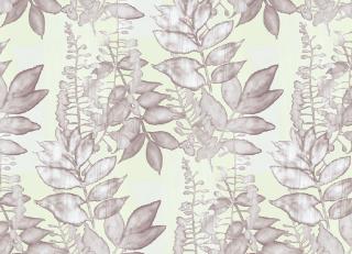 Фото - Обои Wallquest Jasmine - 245517>