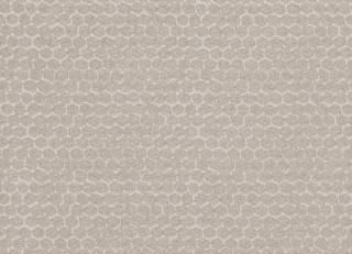 Фото - Ткани Villa Nova Roche - 489812>