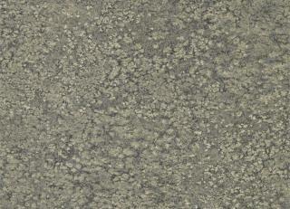 Фото - Обои Zoffany Kempshott - 327169>