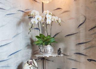 Фото - Обои De Gournay Japanese & Korean - 252256>