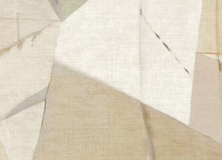 Фото - Обои Jannelli & Volpi JV800 Tierra - 546656>