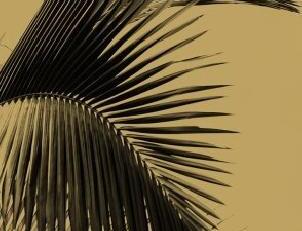 Фото - Обои Caselio Moonlight - 632042>