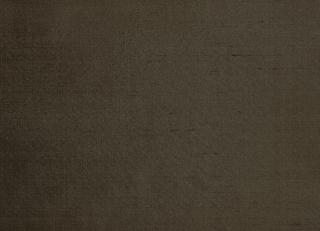 Фото - Ткани Dedar Venere - 551414>