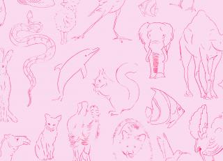 Фото - Обои Coordonne Random Kids - 559414>