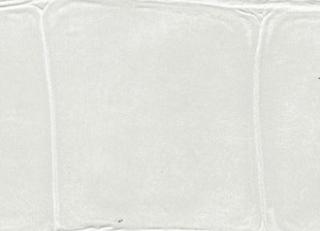 Фото - Обои Elitis Anguille - 257741>