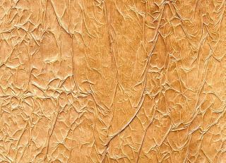 Фото - Обои Arlin Velawall - 342120>