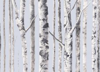 Фото - Обои Mayflower by Kt Exclusive Solaris - 349994>