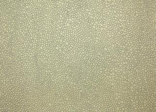 Фото - Обои Fromental Serigraphe - 319386>