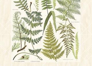 Фото - Обои Eijffinger Geonature - 351455>