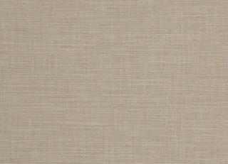 Фото - Ткани Clarke&Clarke Tussah & Seda - 362966>