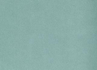 Фото - Ткани Foresti Home Collection Velluto di cotone Zeus - 563395>