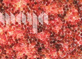 Фото - Обои Maya Romanoff Beadazzled - 393338>