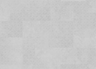 Фото - Обои Zambaiti Trussardi 8 - 624503>