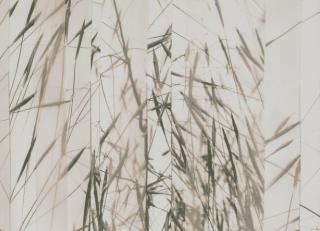 Фото - Ткани Villa Nova Ceto Sheers - 472142>