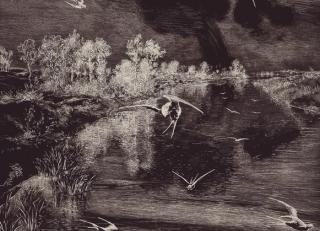 Фото - Обои Eijffinger Geonature - 351453>