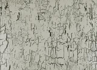 Фото - Обои Black Edition Kansai Wallcoverings - 321029>