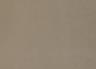 Фото - Ткани Дом CARO Plushery - 533192>