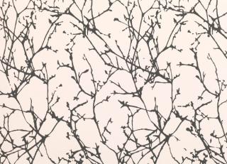 Фото - Обои Romo Lomasi Wallcoverings - 329771>