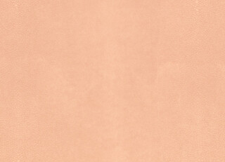 Фото - Ткани Kirkby design Hide Vegan Leathers - 631386>