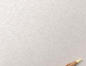 Фото - Обои Newmor Axis - 188968>