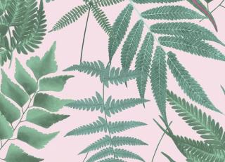 Фото - Обои Graham & Brown Explorer - 546256>