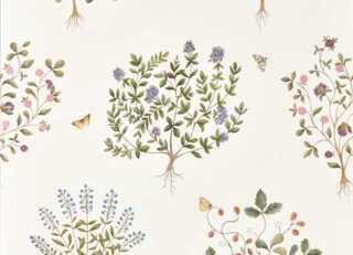 Фото - Обои Sanderson Highgrove Wallcoverings - 626354>
