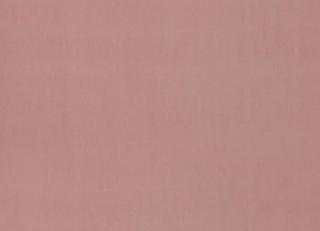 Фото - Ткани Дом CARO Plushery - 533229>