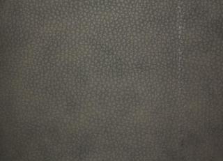 Фото - Ткани Alessandro Bini Eco leather - 438691>