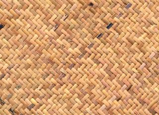 Фото - Ткани CMO Paris Palm Tree - 551129>