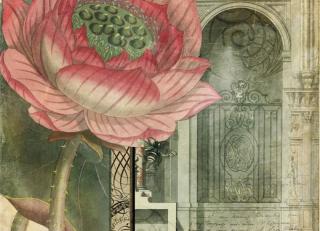 Фото - Обои Ortograf Эми Стюарт - 479984>