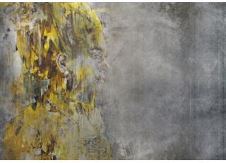 Фото - Обои Momenti Crazy Artists - 415966>